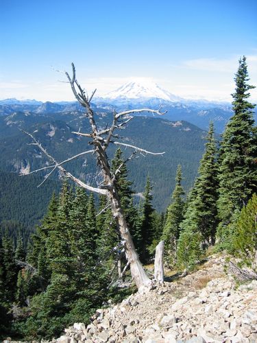 Early View of Rainier