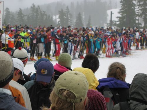 Cross Country Skiers at the Start Line