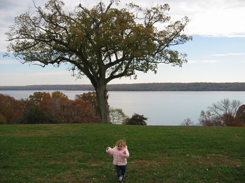 Potomac View From Mount Vernon