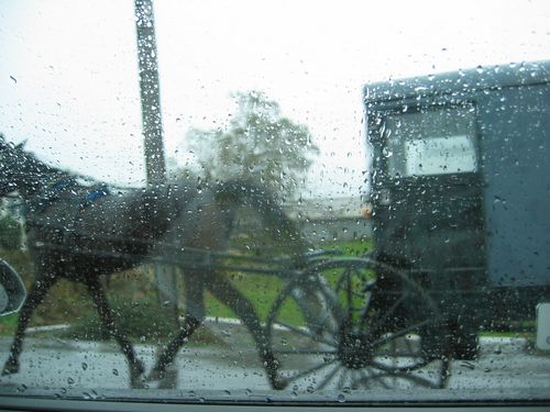 Amish in the Rain