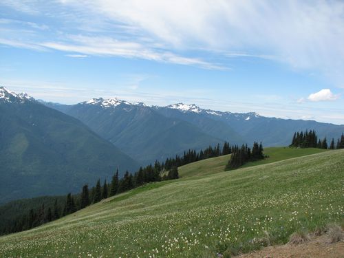 Olympic Mountains