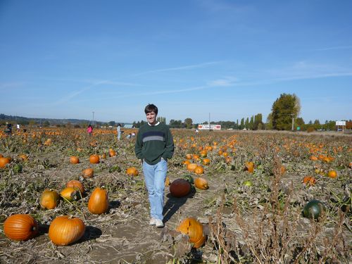 Searching for the Perfect Pumpkin