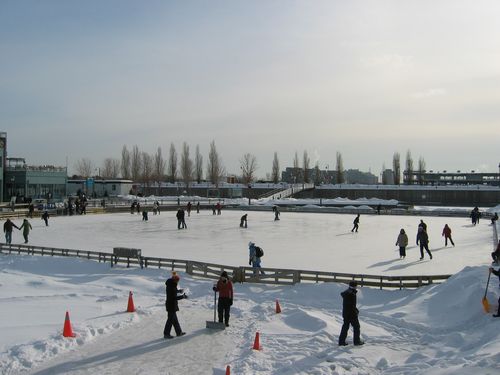 Old Port Skating Rink