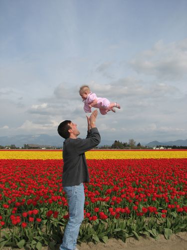 Tulip Toss