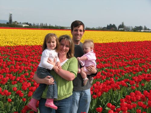 Tulip Field