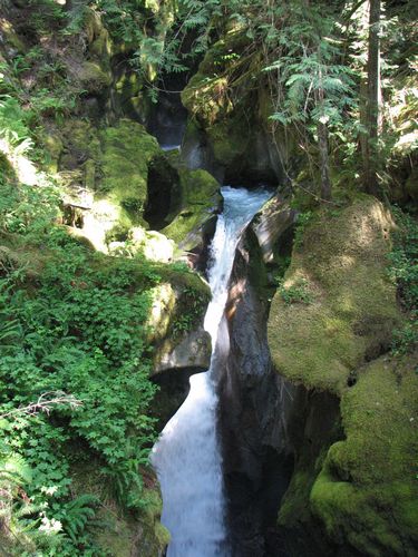 Ladder Creek Falls