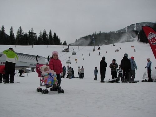 Whistler Base