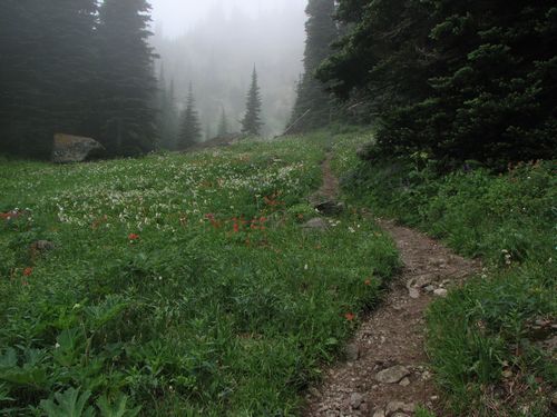 Trail to Marmot Pass