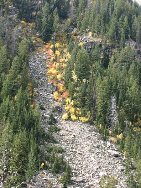 Fall Colors on Base of Grand Teton