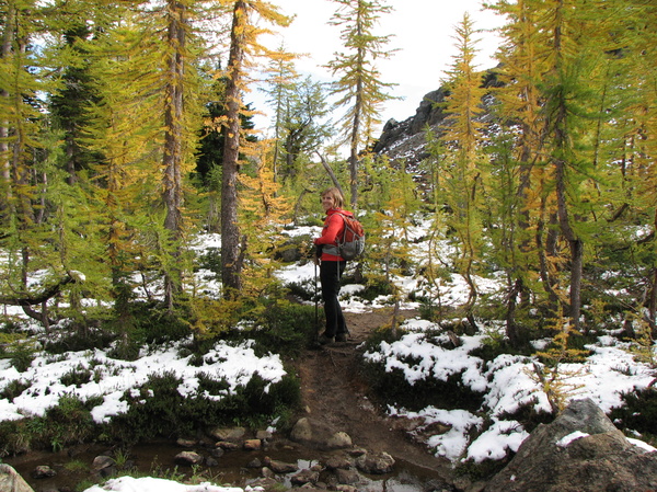 Hike Back