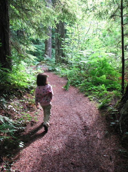 Early Morning Hike at Lewis River