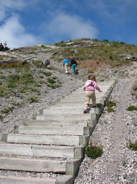 Windy Ridge Stairs