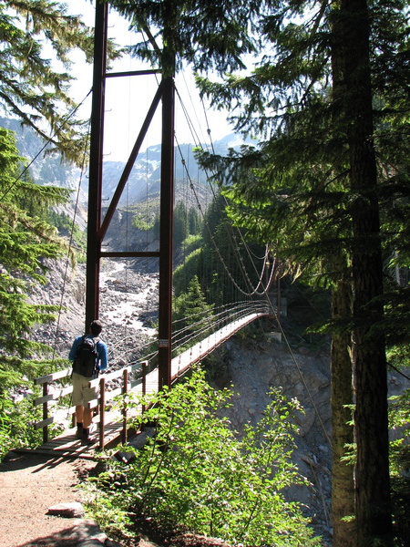 Bridge Over Tahoma Creek