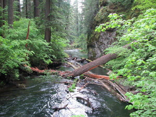 Greenwater River