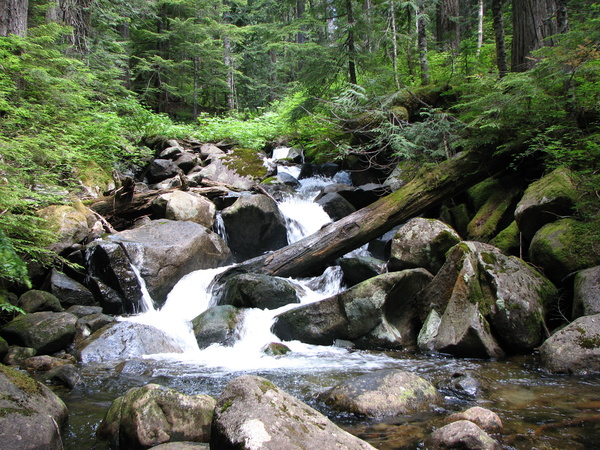 Talapus Creek