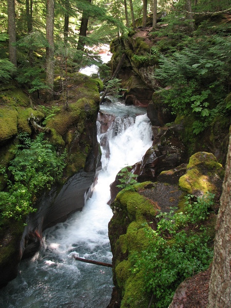 Avalanche Creek Waterfall