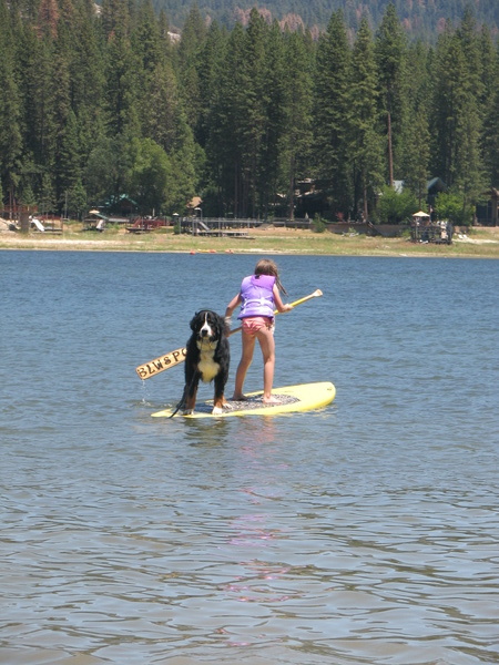 Paddleboarding with Boston