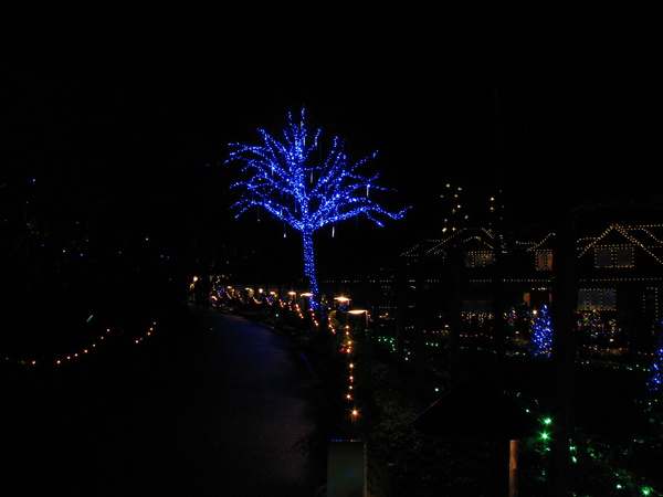 Butchart Gardens Lights