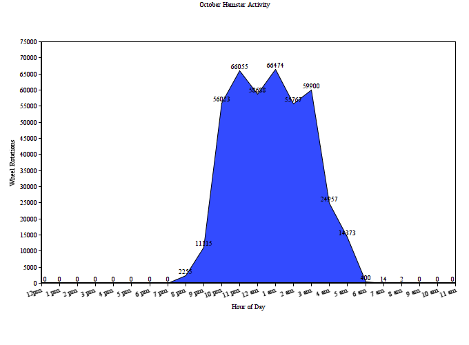 Hourly Activity in October 