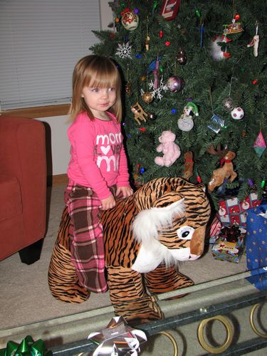 Tiger from Santa