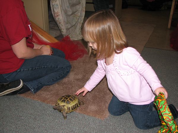 Preschool Turtle