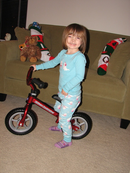 Lily's Bike