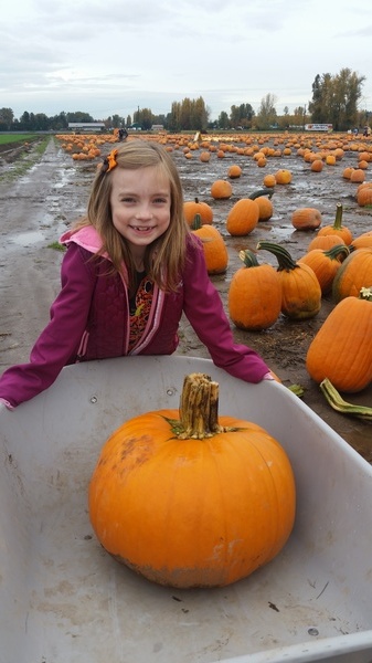 Lily's Pumpkin