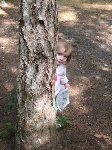 Hiding Behind a Tree