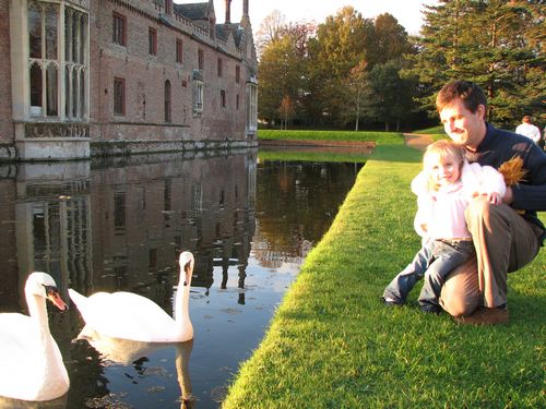 Swans at Oxburgh Estate