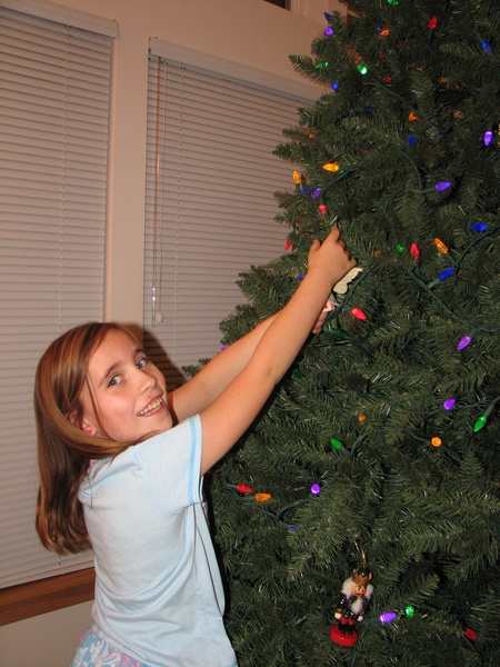 Hanging Ornaments