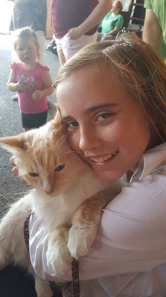 Henry the 4-H Show Cat