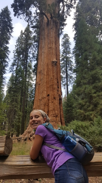 Sequoia National Park (General Sherman)