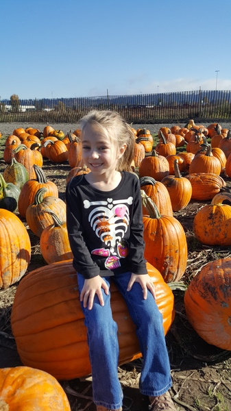 At the Pumpkin Patch