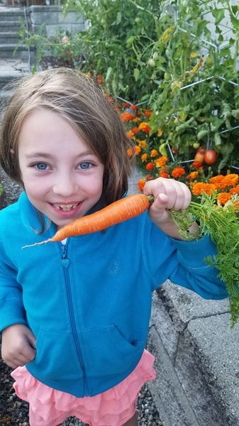 Garden Carrot