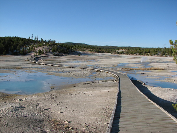 Norris Geyser Basin