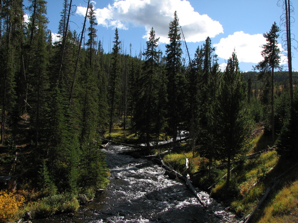 Little Firehole River