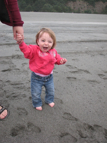 Gold Bluffs Beach