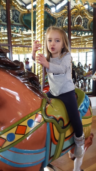 Zoo Carousel